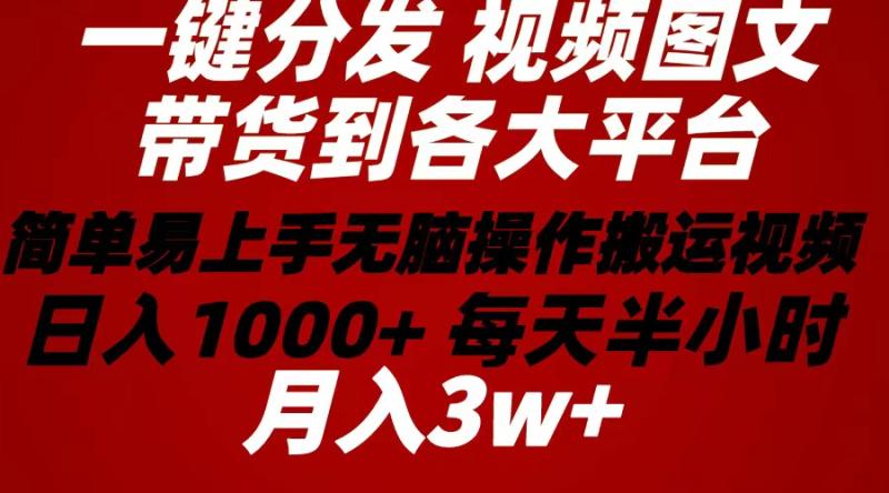 （10667期）2024年 一键分发带货图文视频  简单易上手 无脑赚收益 每天半小时日入1000+上不封顶！-副业城