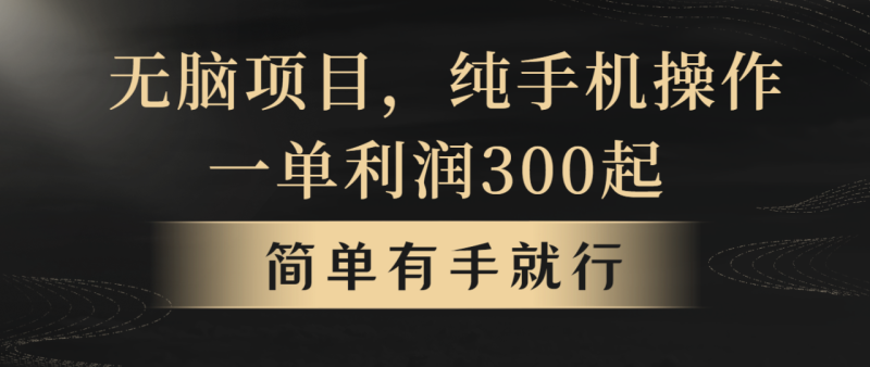 （10699期）无脑项目，一单几百块，轻松月入5w+，看完就能直接操作-副业城