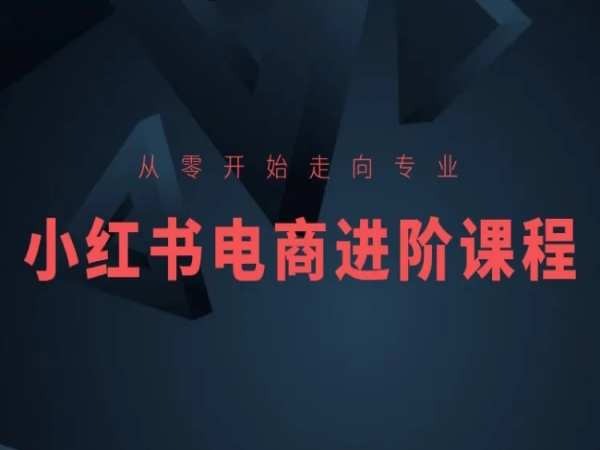 从零开始走向专业，小红书电商进阶课程-副业城