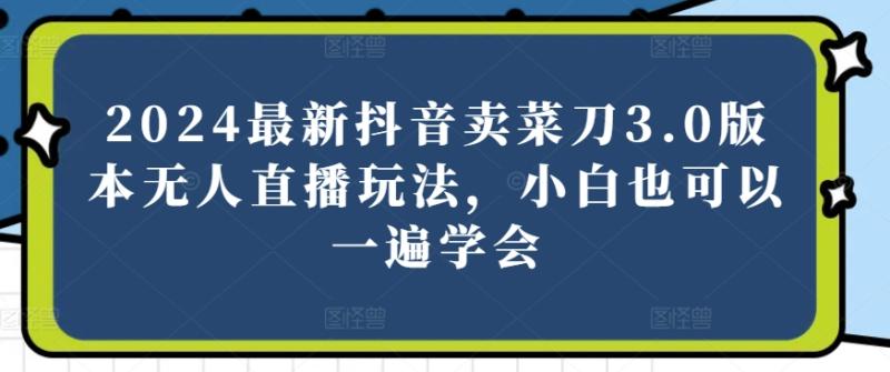 2024最新抖音卖菜刀3.0版本无人直播玩法，小白也可以一遍学会【揭秘】-副业城