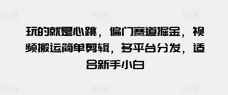 玩的就是心跳，偏门赛道掘金，视频搬运简单剪辑，多平台分发，适合新手小白【揭秘】-副业城