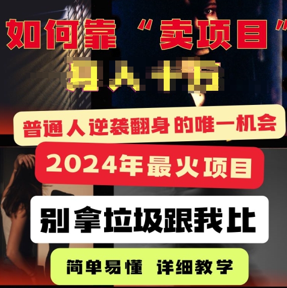 2024年最火项目，如何靠“卖项目”逆装翻身，简单易懂 详细教学 完整版5节课-副业城