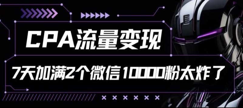 CPA流量变现7天加满两个微信10000粉-副业城