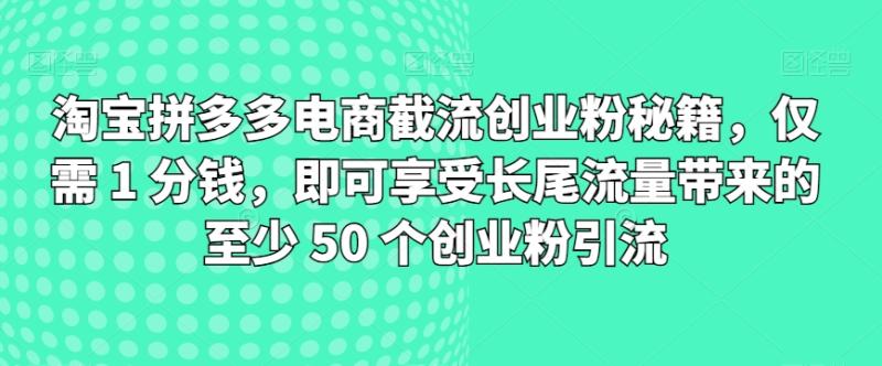 淘宝拼多多电商截流创业粉秘籍，仅需 1 分钱，即可享受长尾流量带来的至少 50 个创业粉引流-副业城