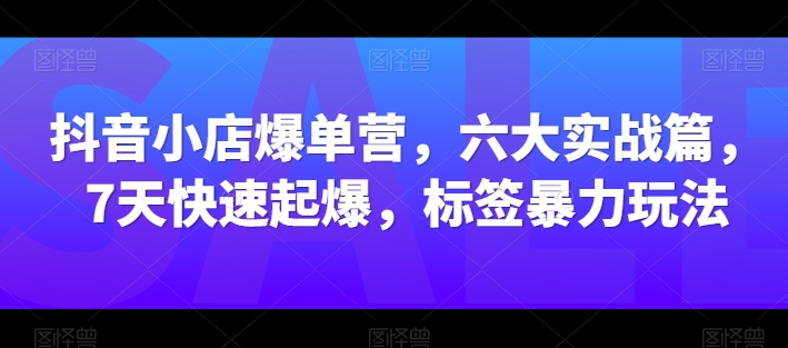 抖音小店爆单营，六大实战篇，7天快速起爆，标签暴力玩法-副业城