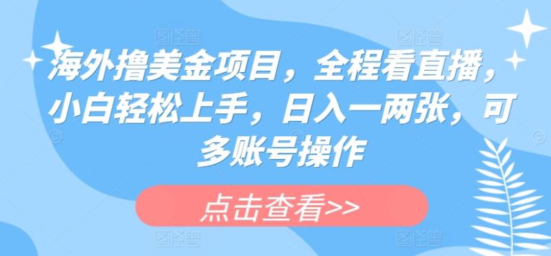 海外撸美金项目，全程看直播，小白轻松上手，日入一两张，可多账号操作【揭秘】-副业城