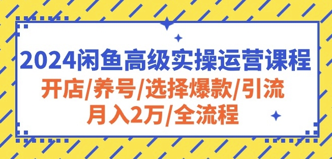 2024闲鱼高级实操运营课程：开店/养号/选择爆款/引流/月入2万/全流程-副业城