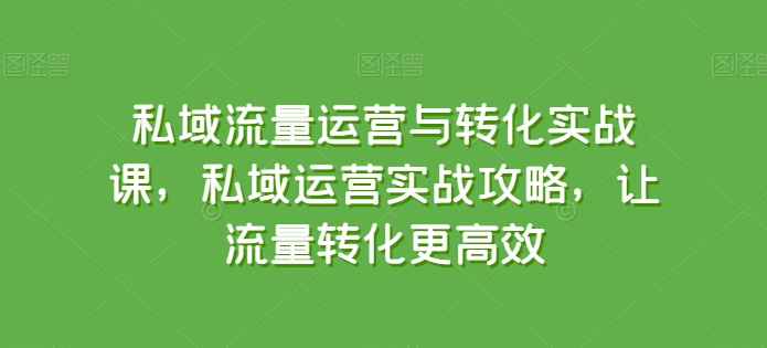 私域流量运营与转化实战课，私域运营实战攻略，让流量转化更高效-副业城