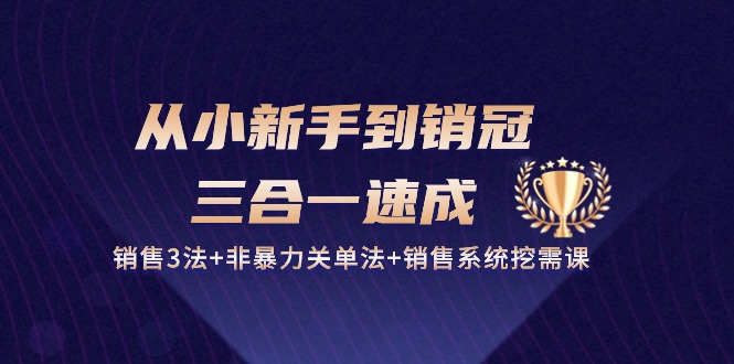 （10799期）从小新手到销冠 三合一速成：销售3法+非暴力关单法+销售系统挖需课 (27节)-副业城