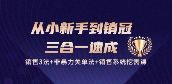 从小新手到销冠 三合一速成：销售3法+非暴力关单法+销售系统挖需课 (27节)-副业城