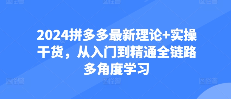 2024拼多多最新理论+实操干货，从入门到精通全链路多角度学习-副业城