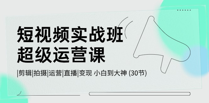 短视频实战班超级运营课 |剪辑|拍摄|运营|直播|变现 小白到大神 (30节)-副业城