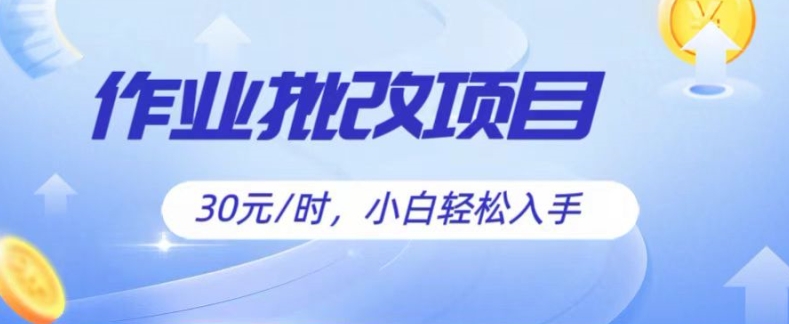 批改作业项目，30元时，简单容易上手，适合宝妈，大学生-副业城