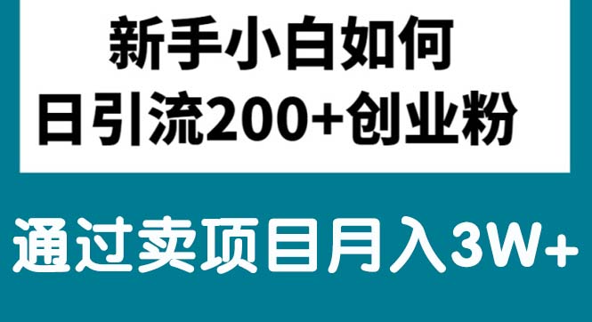 （10843期）新手小白日引流200+创业粉,通过卖项目月入3W+-副业城