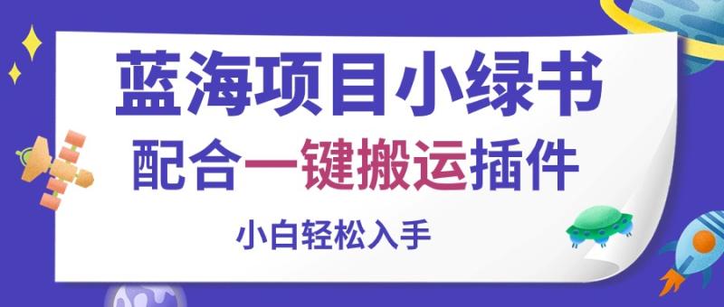 （10841期）蓝海项目小绿书，配合一键搬运插件，小白轻松入手-副业城