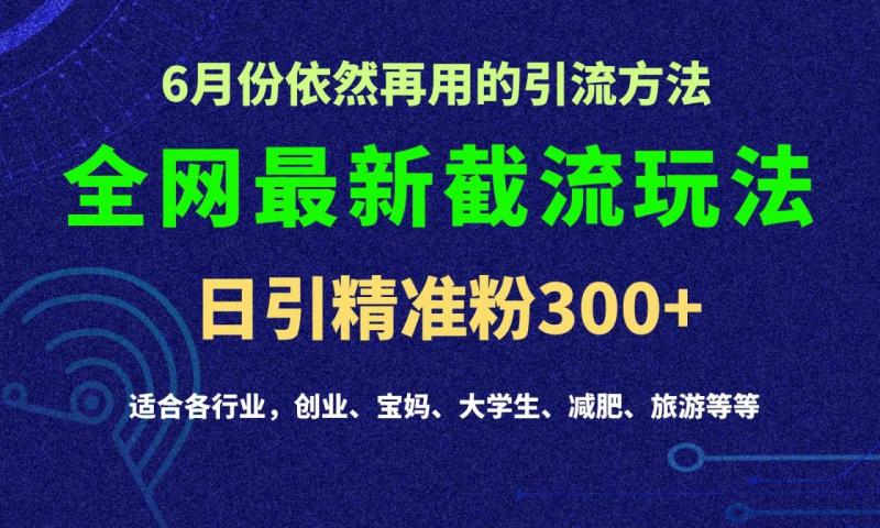 2024全网最新截留玩法，每日引流突破300+-副业城