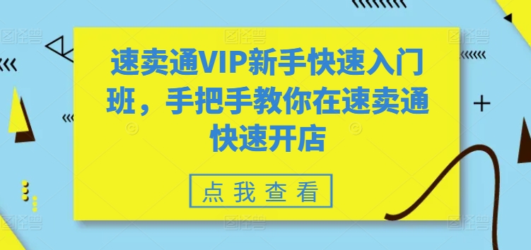 速卖通VIP新手快速入门班，手把手教你在速卖通快速开店-副业城