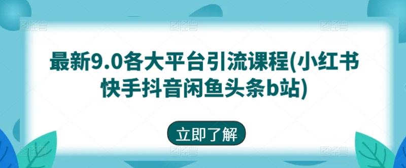 最新9.0各大平台引流课程(小红书快手抖音闲鱼头条b站)-副业城