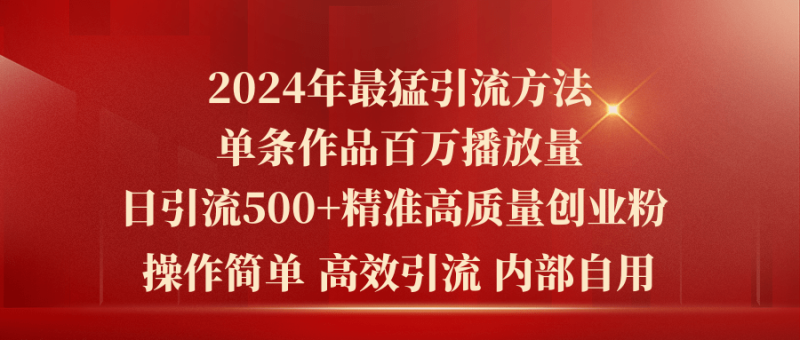 （10920期）2024年最猛暴力引流方法，单条作品百万播放 单日引流500+高质量精准创业粉-副业城