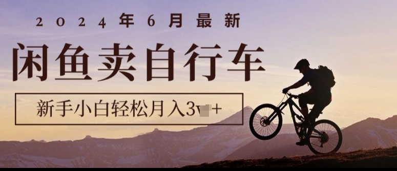 2024年6月最新闲鱼卖自行车，新手小白轻松月入1w+，无风险项目-副业城