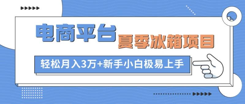 （10934期）电商平台夏季冰箱项目，轻松月入3万+，新手小白极易上手-副业城