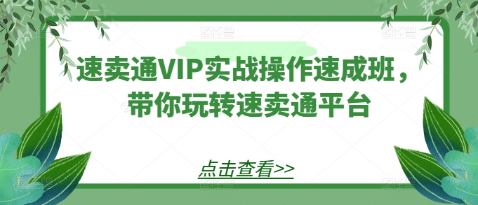 速卖通VIP实战操作速成班，带你玩转速卖通平台-副业城