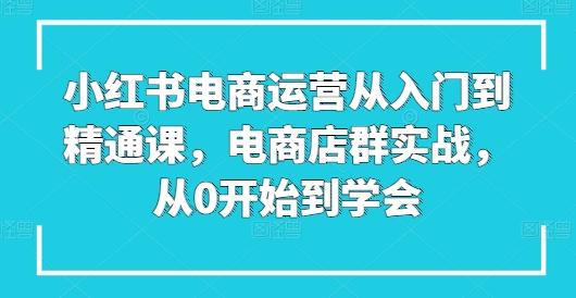 小红书电商运营从入门到精通课，电商店群实战，从0开始到学会-副业城