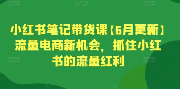 小红书笔记带货课【6月更新】流量电商新机会，抓住小红书的流量红利-副业城