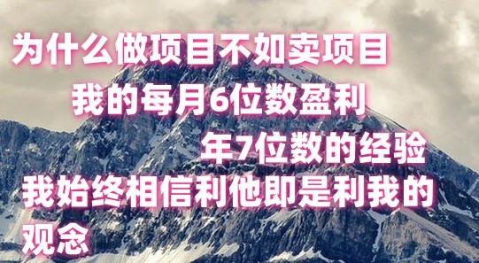 做项目不如卖项目，每月6位数盈利，年7位数经验-副业城