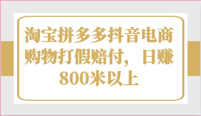 淘宝拼多多抖音电商购物打假赔付，日赚800米以上-副业城