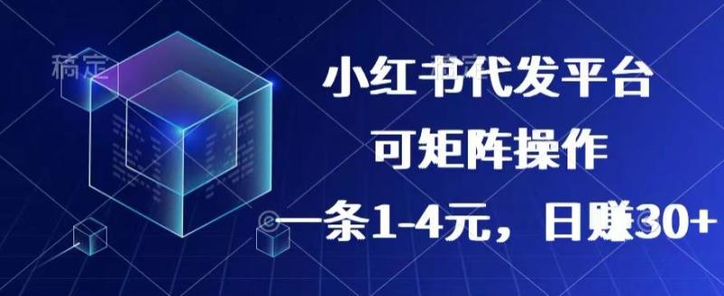 【小红书+抖音】代发平台，一条1~4元，日赚30+的靠谱小项目，可矩阵操作-副业城