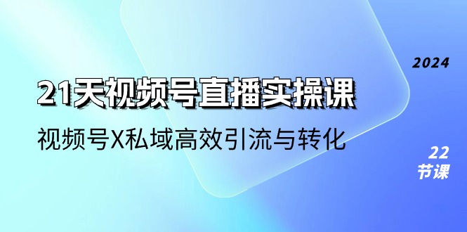 21天视频号直播实操课，视频号X私域高效引流与转化（22节课）-副业城