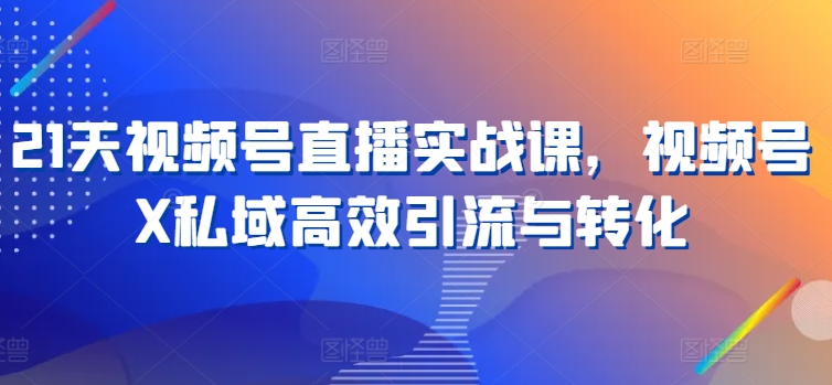 21天视频号直播实战课，视频号X私域高效引流与转化-副业城