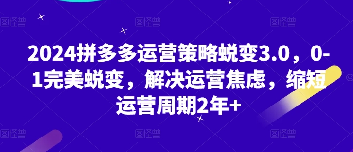 2024拼多多运营策略蜕变3.0，0-1完美蜕变，解决运营焦虑，缩短运营周期2年+-副业城