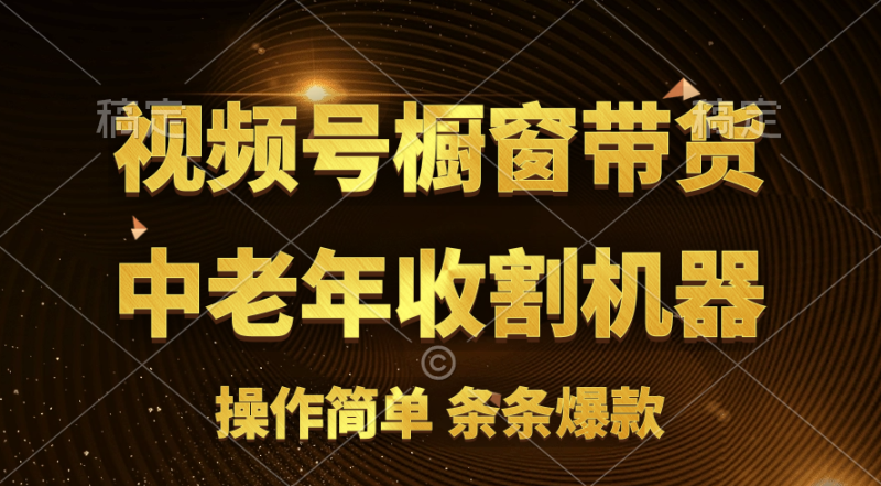 （11009期）视频号最火爆赛道，橱窗带货，流量分成计划，条条原创爆款-副业城