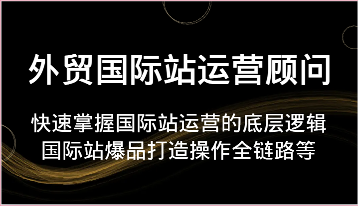 外贸国际站运营顾问-快速掌握国际站运营的底层逻辑，国际站爆品打造操作全链路等-副业城