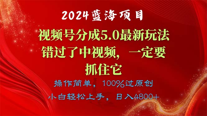 （11032期）2024蓝海项目，视频号分成计划5.0最新玩法，错过了中视频，一定要抓住它-副业城