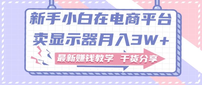 （11053期）新手小白如何做到在电商平台卖显示器月入3W+，最新赚钱教学干货分享-副业城