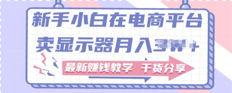 新手小白如何做到在电商平台卖显示器，最新赚钱教学干货分享-副业城