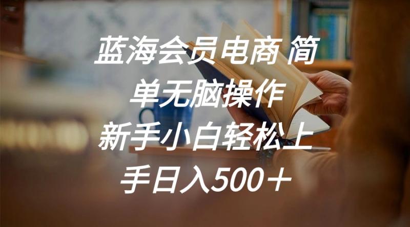 （11068期）蓝海会员电商 简单无脑操作 新手小白轻松上手日入500＋-副业城