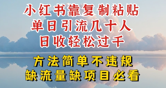 小红书靠复制粘贴单日引流几十人目收轻松过千，方法简单不违规-副业城