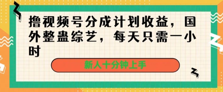 撸视频号分成计划收益，国外整蛊综艺，每天只需一小时，新人十分钟上手-副业城