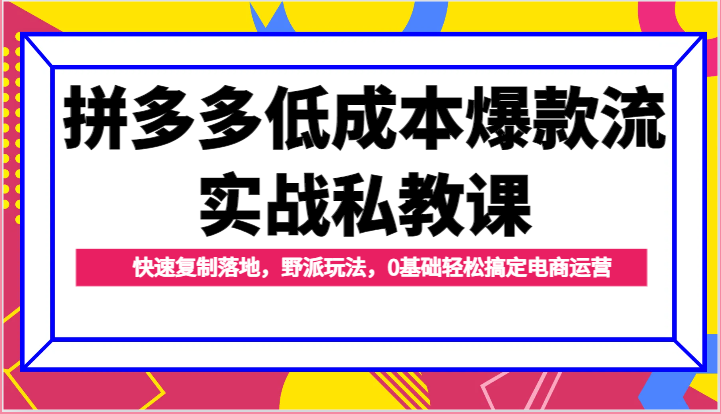 拼多多低成本爆款流实战私教课，快速复制落地，野派玩法，0基础轻松搞定电商运营-副业城