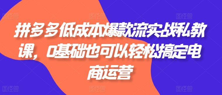 拼多多低成本爆款流实战私教课，0基础也可以轻松搞定电商运营-副业城