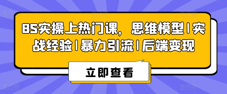 8S实操上热门课，思维模型|实战经验|暴力引流|后端变现-副业城