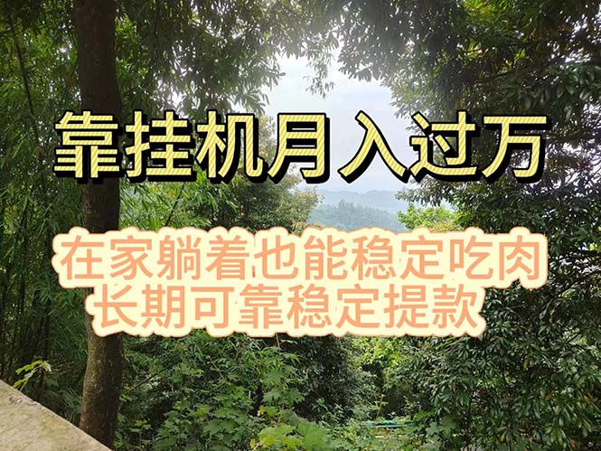 （11144期）挂机掘金，日入1000+，躺着也能吃肉，适合宝爸宝妈学生党工作室，电脑…-副业城