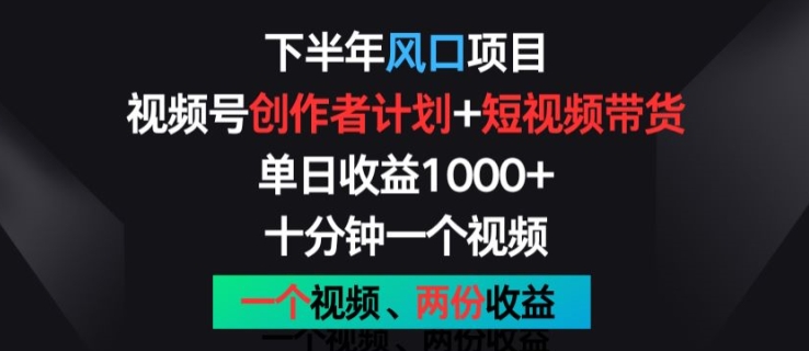 下半年风口项目，视频号创作者计划+视频带货，一个视频两份收益，十分钟一个视频【揭秘】-副业城