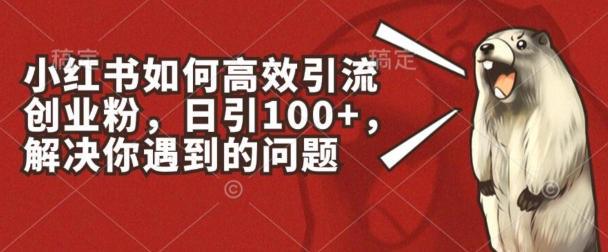 小红书如何高效引流创业粉，日引100+，解决你遇到的问题【揭秘】-副业城