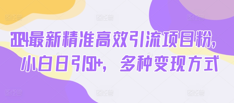 2024最新精准高效引流项目粉，小白日引50+，多种变现方式-副业城