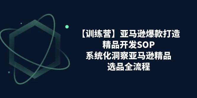 亚马逊爆款打造之精品开发SOP【训练营】，系统化洞察亚马逊精品选品全流程-副业城